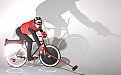 Велосипед для игры в поло от Louis Vuitton