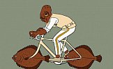 Фото16, Юмористические вело-рисунки Майка Джуса