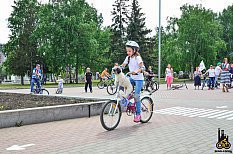 Кошки на велосипеде – Екатеринбуржцы устроили цирк на Плотинке