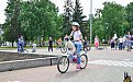 Кошки на велосипеде – Екатеринбуржцы устроили цирк на Плотинке