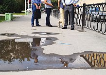 Организаторы "Свободного движения" проинспектировали дороги в центре Екатеринбурга